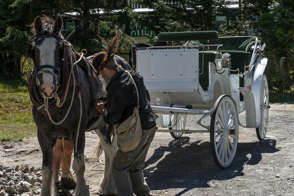 Otira Stagecoach Hotel 외부 사진